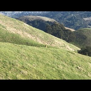 Meet your Posher, Simon